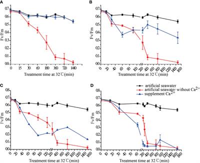 Calcium-Calmodulin-Involved Heat Shock Response of Neoporphyra haitanensis